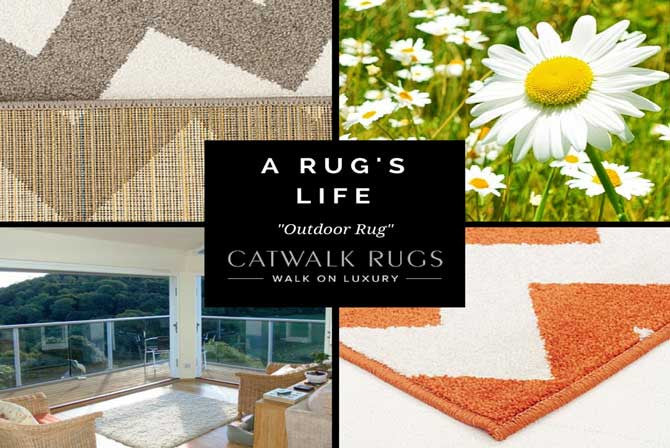 The Outdoor Rug - A Rug's Life
