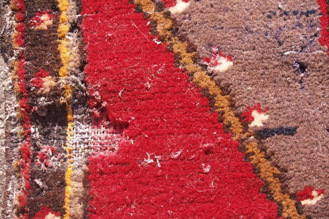 How to Prevent and Treat Moth Infestation in your Rugs in 5 Easy Steps