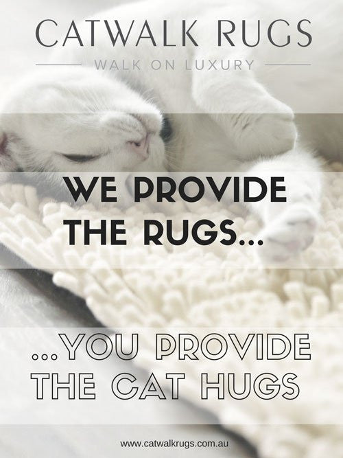 Sydney Cat Cafe Promotion - The Catwalk Rugs Journal