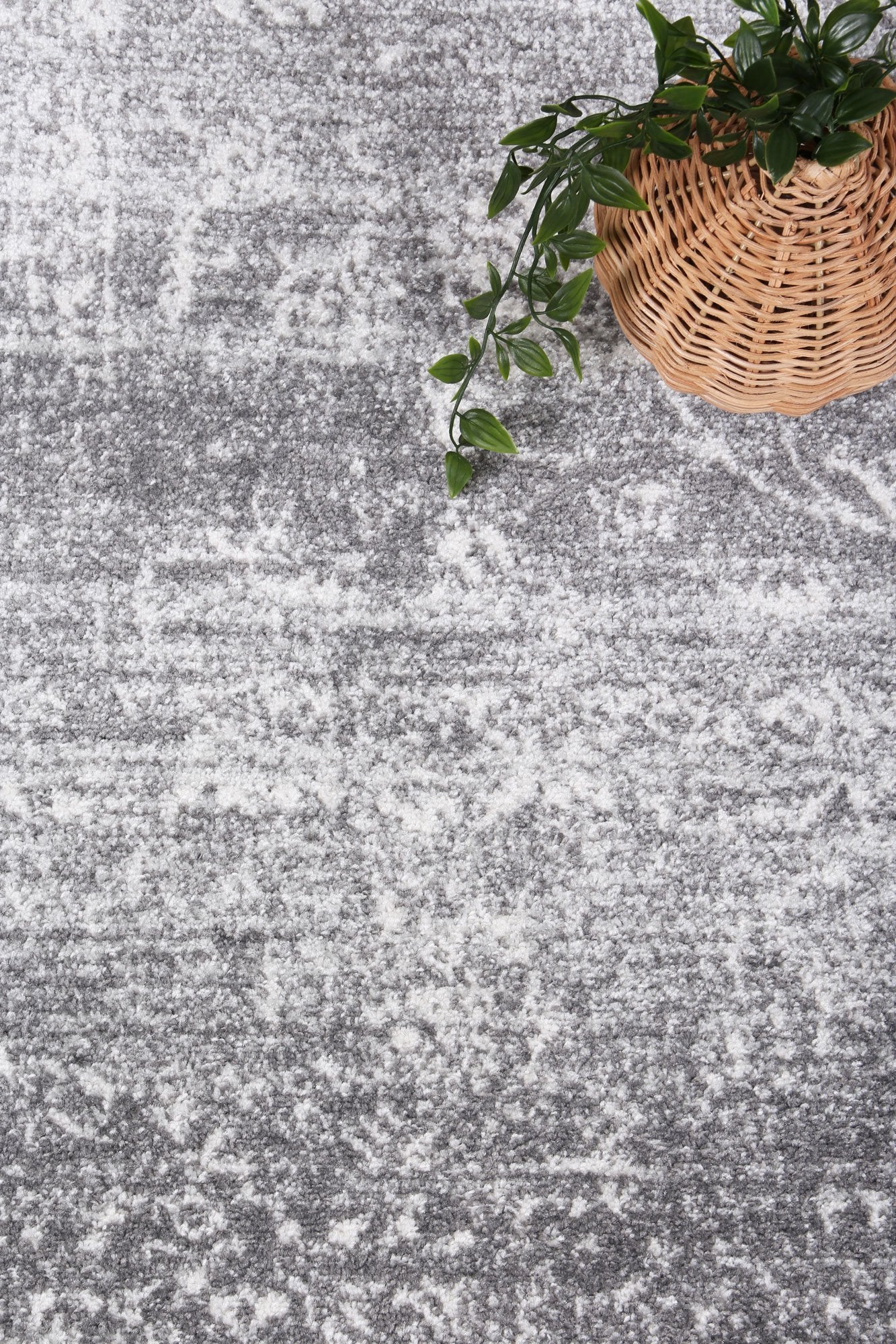 Provence Transitional in Grey : Round